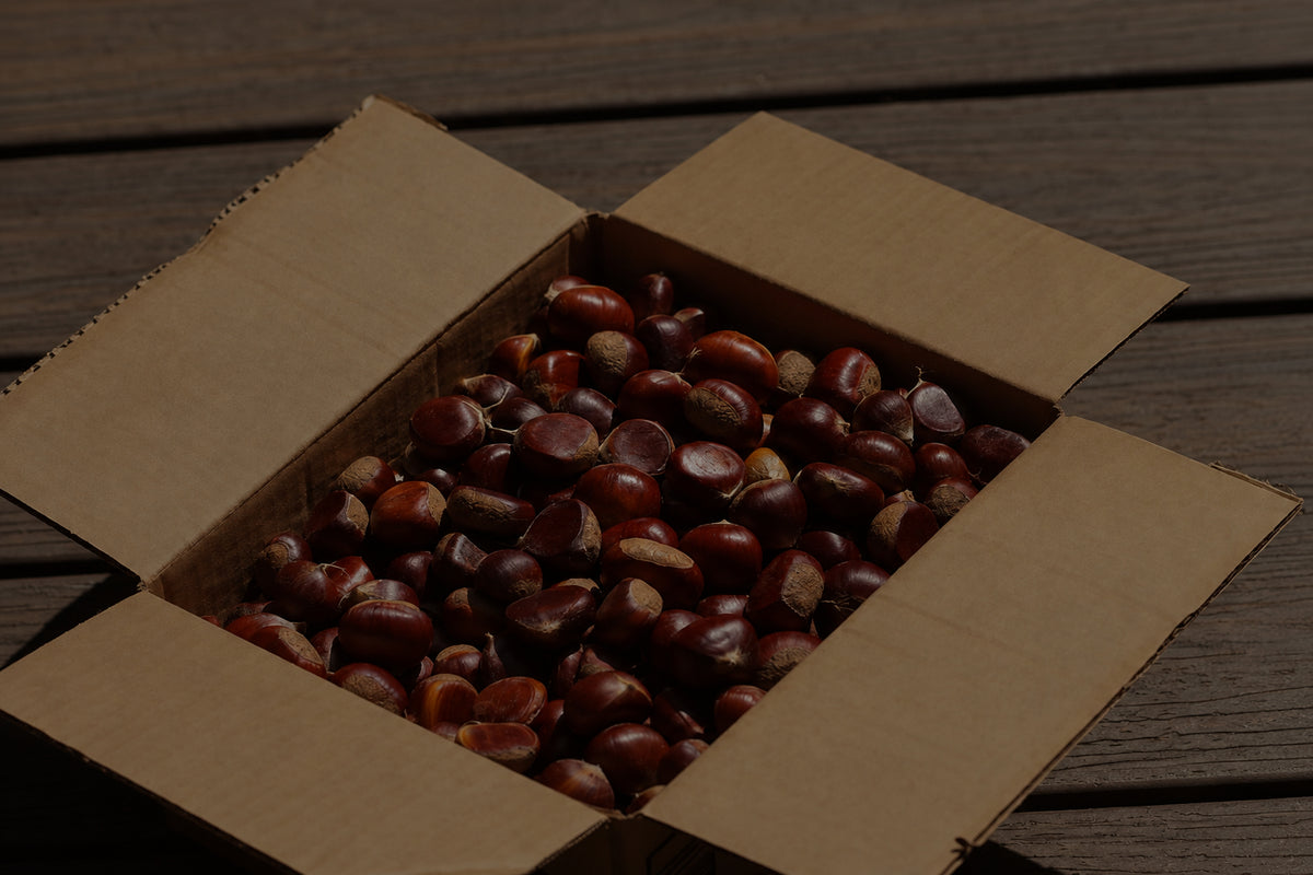 Chestnut Box
