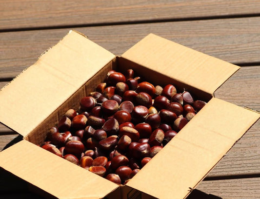 Holiday Box